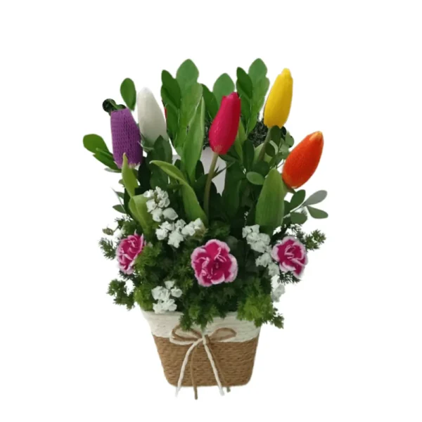 Arreglo de 5 tulipanes de colores
